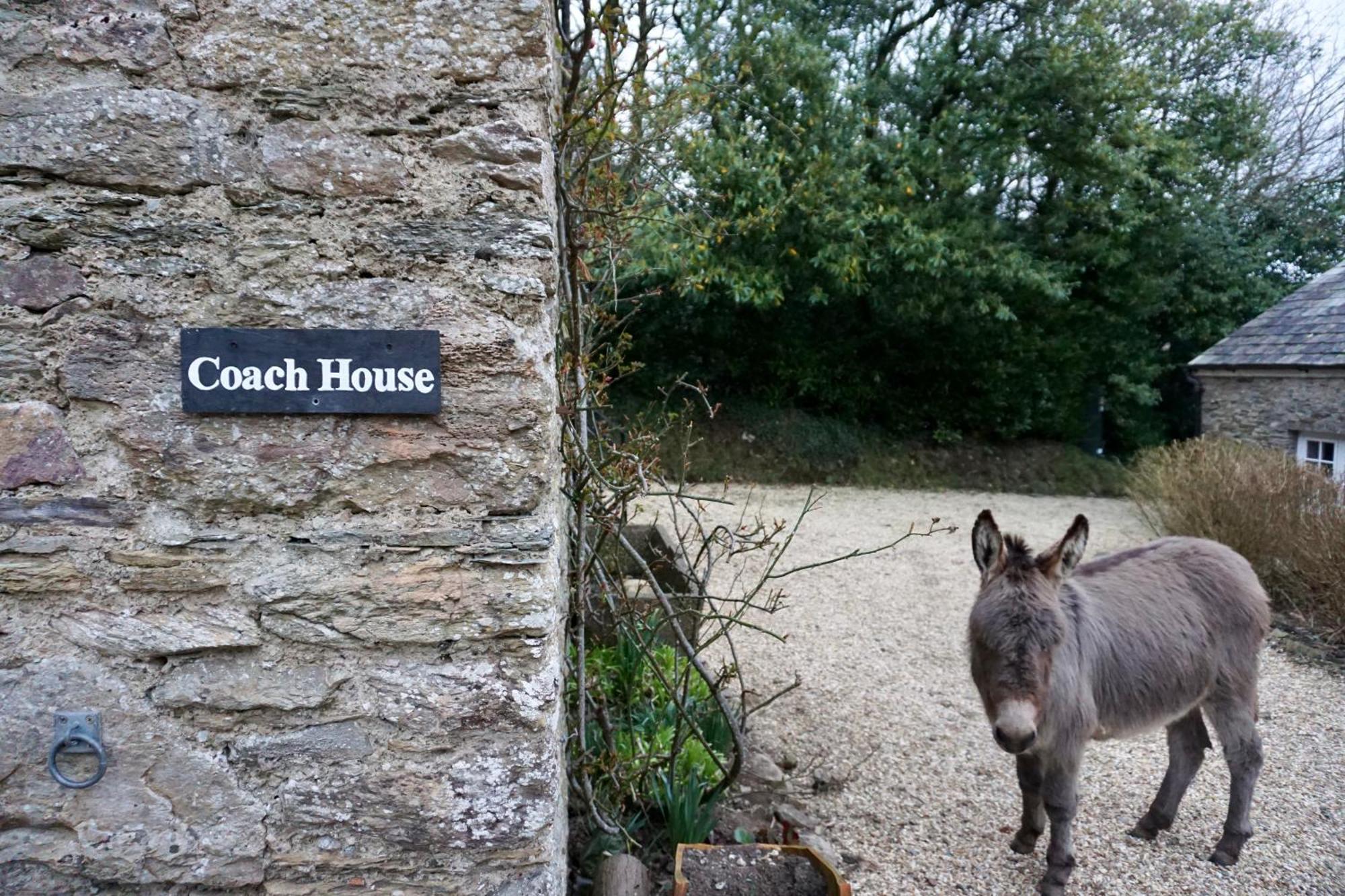 Beachborough Country House บาร์นสเตเปิล ภายนอก รูปภาพ